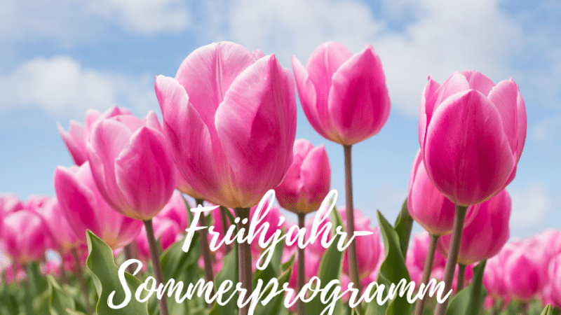 Unser Frühjahr- Sommerprogramm der Landfrauen Schorndorf steht zum download für dich bereit.