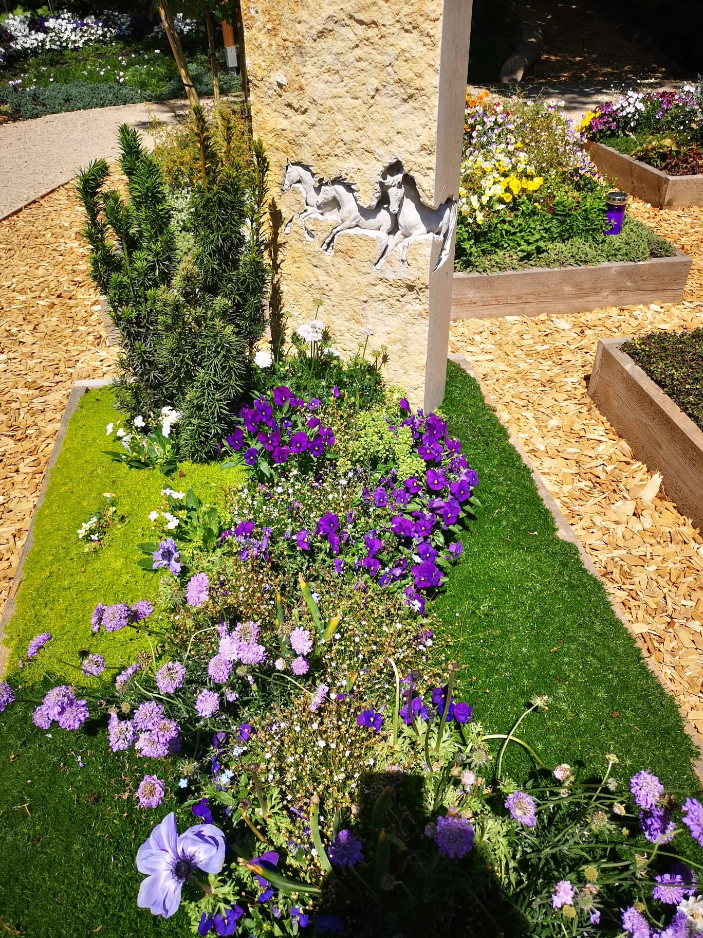Ellwangen_2026_3