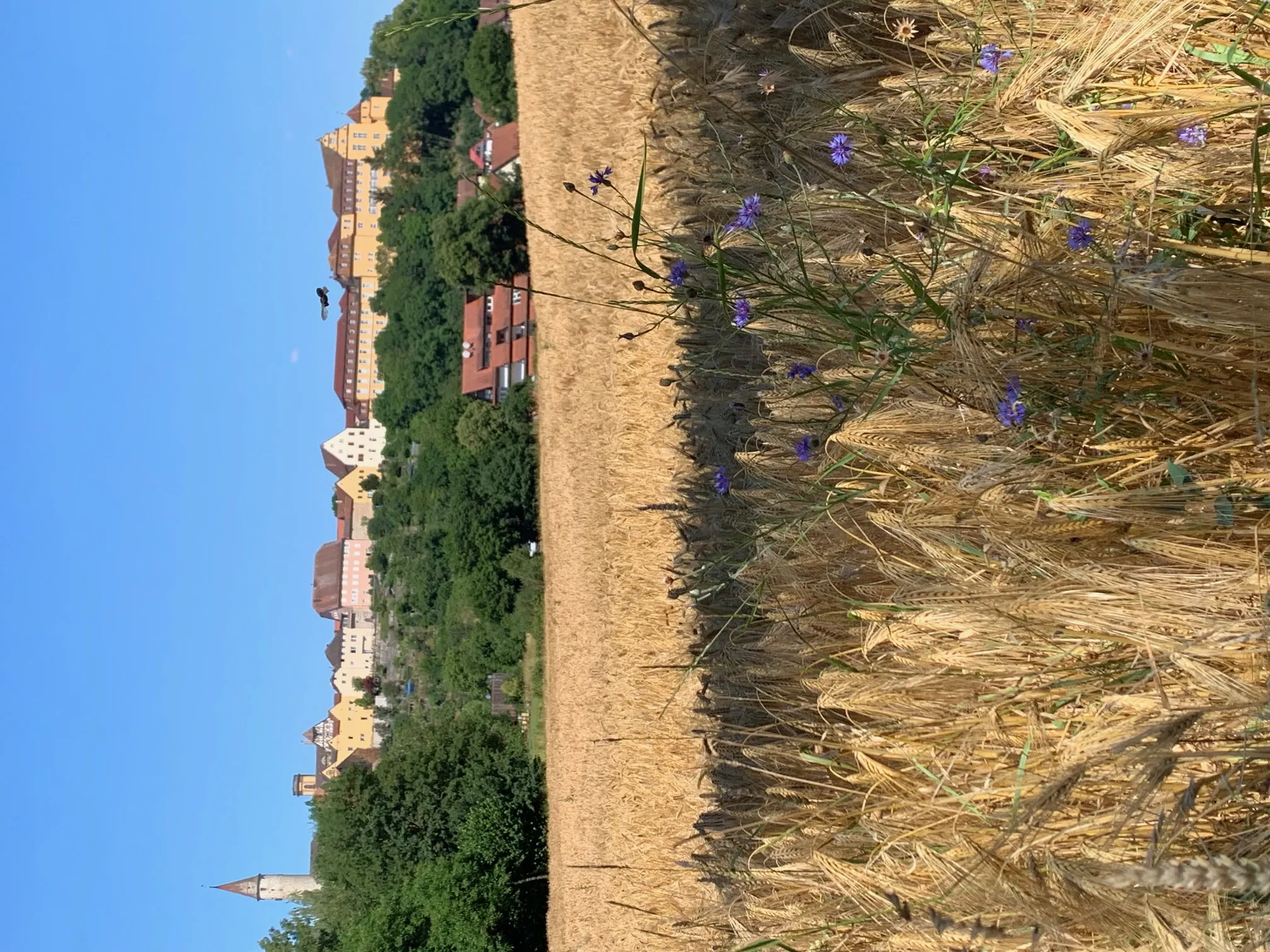 Radtour_2026_weitere__18_f4f2a133